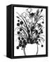 Black and White Bouquet 1-Filippo Ioco-Framed Stretched Canvas