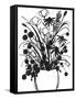 Black and White Bouquet 1-Filippo Ioco-Framed Stretched Canvas