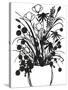 Black and White Bouquet 1-Filippo Ioco-Stretched Canvas