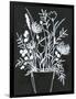 Black and White Bouquet 2-Filippo Ioco-Framed Art Print