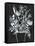 Black and White Bouquet 2-Filippo Ioco-Framed Stretched Canvas