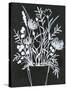 Black and White Bouquet 2-Filippo Ioco-Stretched Canvas