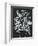 Black and White Bouquet 2-Filippo Ioco-Framed Art Print