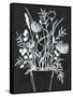 Black and White Bouquet 2-Filippo Ioco-Framed Stretched Canvas