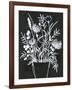 Black and White Bouquet 2-Filippo Ioco-Framed Art Print