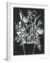 Black and White Bouquet 2-Filippo Ioco-Framed Art Print