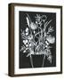 Black and White Bouquet 2-Filippo Ioco-Framed Art Print