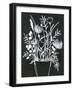 Black and White Bouquet 2-Filippo Ioco-Framed Art Print