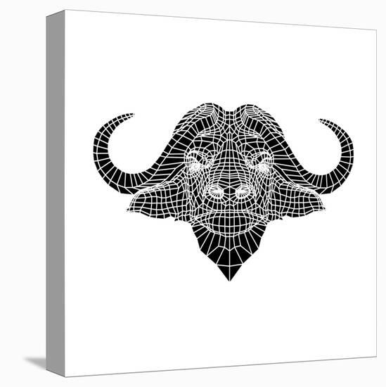 Black and White Buffalo Mesh-Lisa Kroll-Stretched Canvas