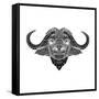 Black and White Buffalo Mesh-Lisa Kroll-Framed Stretched Canvas