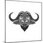 Black and White Buffalo Mesh-Lisa Kroll-Mounted Art Print