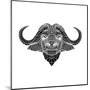 Black and White Buffalo Mesh-Lisa Kroll-Mounted Art Print