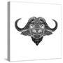 Black and White Buffalo Mesh-Lisa Kroll-Stretched Canvas