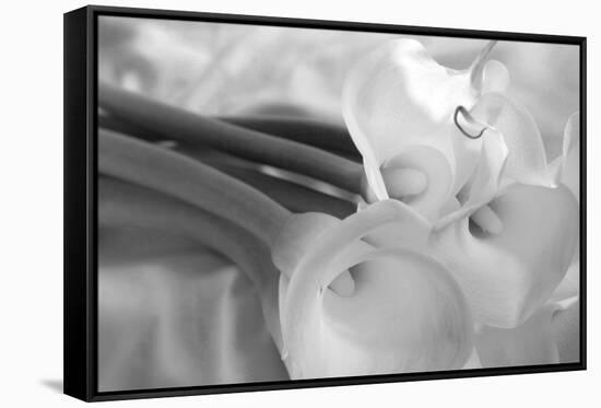 Black and White Calla Study-Anna Miller-Framed Stretched Canvas