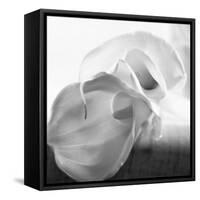 Black and White Calla Study-Anna Miller-Framed Stretched Canvas