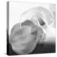 Black and White Calla Study-Anna Miller-Stretched Canvas