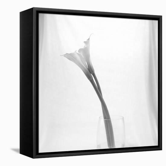 Black and White Calla Study-Anna Miller-Framed Stretched Canvas