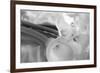 Black and White Calla Study-Anna Miller-Framed Photographic Print