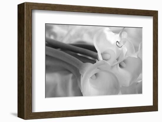 Black and White Calla Study-Anna Miller-Framed Photographic Print