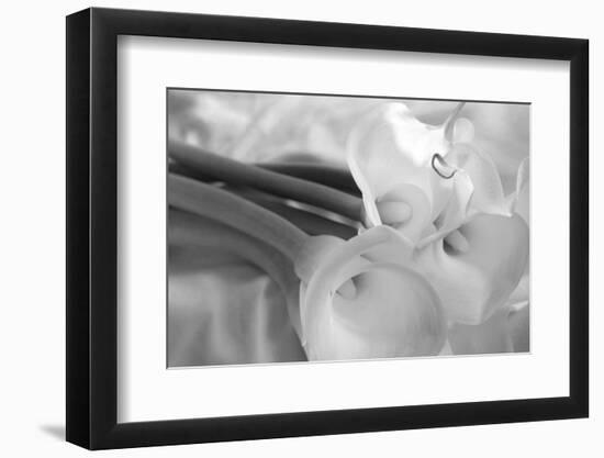 Black and White Calla Study-Anna Miller-Framed Photographic Print