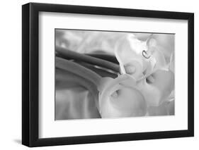 Black and White Calla Study-Anna Miller-Framed Photographic Print