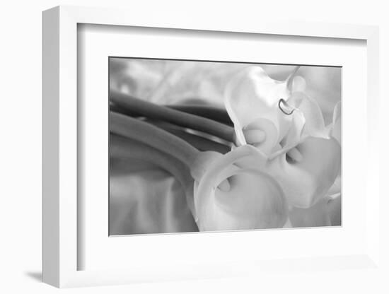 Black and White Calla Study-Anna Miller-Framed Photographic Print