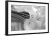 Black and White Calla Study-Anna Miller-Framed Photographic Print