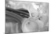 Black and White Calla Study-Anna Miller-Mounted Photographic Print