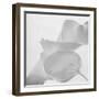 Black and White Calla Study-Anna Miller-Framed Photographic Print