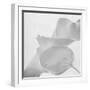 Black and White Calla Study-Anna Miller-Framed Photographic Print