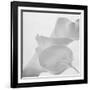 Black and White Calla Study-Anna Miller-Framed Photographic Print