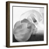 Black and White Calla Study-Anna Miller-Framed Photographic Print