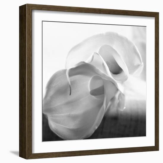 Black and White Calla Study-Anna Miller-Framed Photographic Print