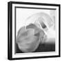 Black and White Calla Study-Anna Miller-Framed Photographic Print