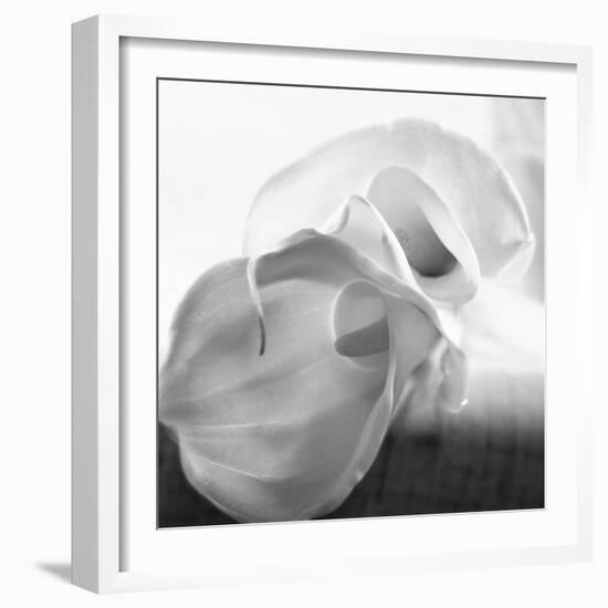 Black and White Calla Study-Anna Miller-Framed Photographic Print