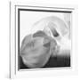 Black and White Calla Study-Anna Miller-Framed Photographic Print