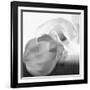 Black and White Calla Study-Anna Miller-Framed Photographic Print