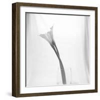 Black and White Calla Study-Anna Miller-Framed Photographic Print