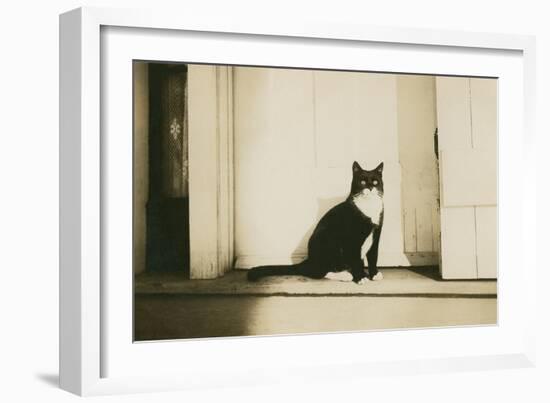 Black and White Cat-null-Framed Art Print