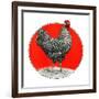 Black and White Chicken-C.R. Patterson-Framed Giclee Print