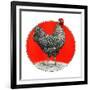 Black and White Chicken-C.R. Patterson-Framed Giclee Print