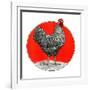 Black and White Chicken-C.R. Patterson-Framed Giclee Print