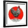 Black and White Chicken-C.R. Patterson-Framed Giclee Print