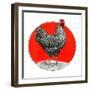 Black and White Chicken-C.R. Patterson-Framed Giclee Print