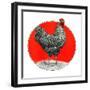 Black and White Chicken-C.R. Patterson-Framed Giclee Print