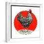 Black and White Chicken-C.R. Patterson-Framed Giclee Print