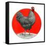 Black and White Chicken-C.R. Patterson-Framed Stretched Canvas