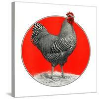 Black and White Chicken-C.R. Patterson-Stretched Canvas