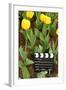 Black and White Cinema Clapper Board on Ground among Field of Yellow Tulips-Paha_L-Framed Photographic Print