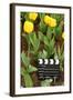 Black and White Cinema Clapper Board on Ground among Field of Yellow Tulips-Paha_L-Framed Photographic Print